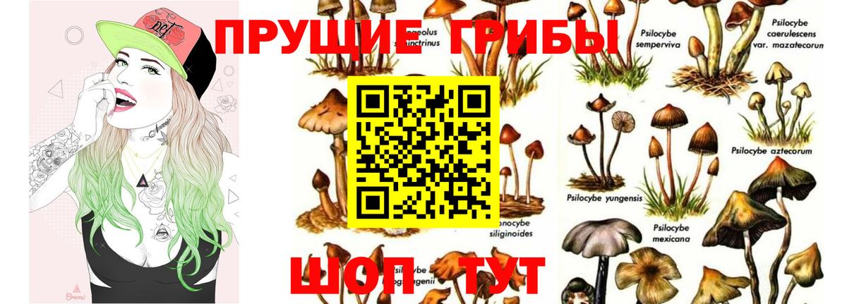 Галлюциногенные грибы ЛСД  Вход с VPN  Галлюциногенные грибы мухоморы  Кировск 
