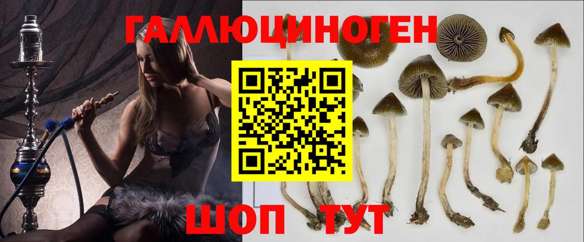 Галлюциногенные грибы мицелий Кировск